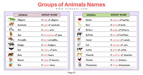 List of Names for Groups of Animals: A Complete .